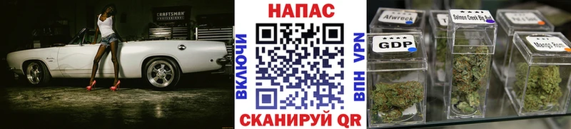 как найти закладки  Сальск  Канабис SATIVA & INDICA 